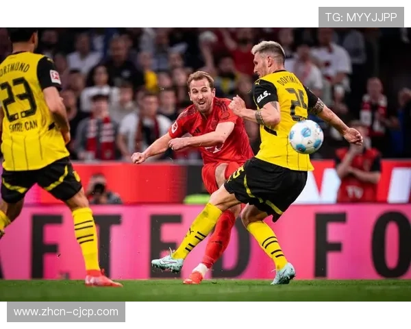 积分榜：拜仁50分领跑，多特42分差8分，霍芬海姆36分第三