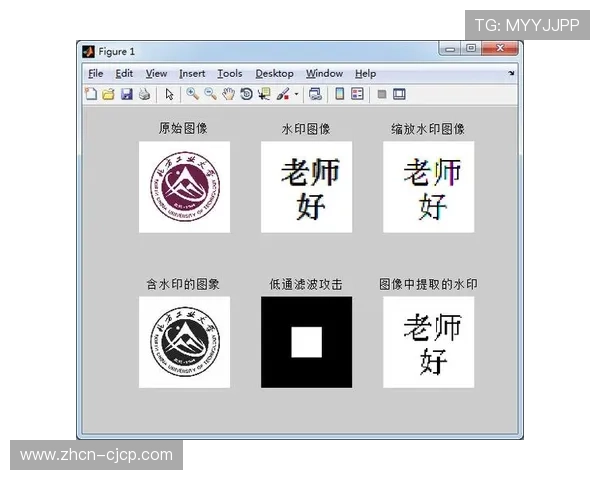 数字水印技术升级 版权追踪更精准 数字水印技术升级 版权追踪更精准